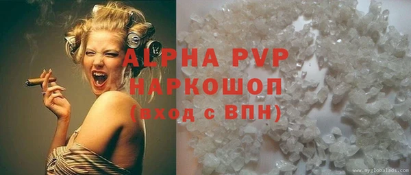 сатива Баксан