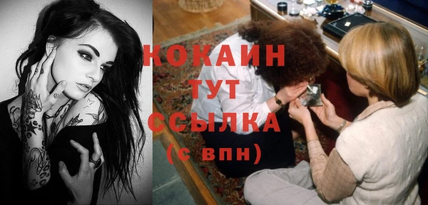 сатива Баксан