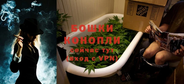 сатива Баксан