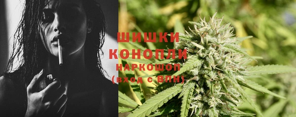 сатива Баксан